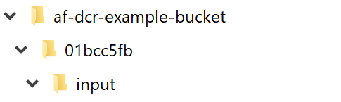 dcr_file_structure_input_folder.png