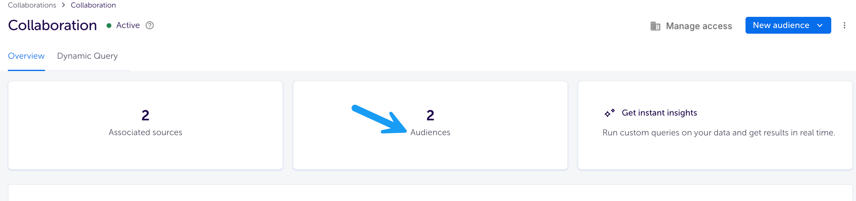 Audiences section.png