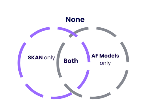 skan_af_model_diagram.png